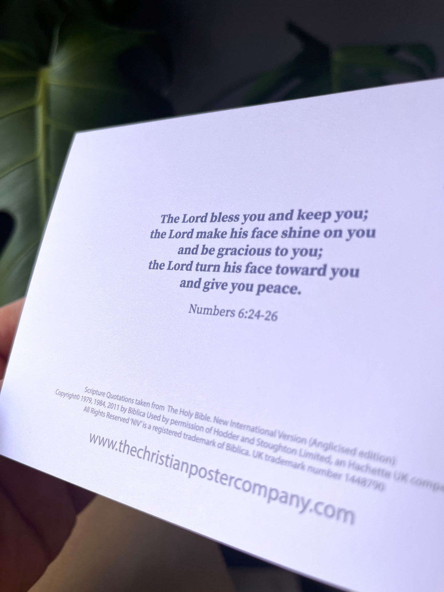 Set of 8 Bible verse Thank You cards.