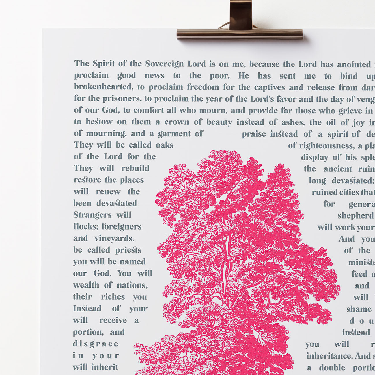 Isaiah 61 poster. Oaks of righteousness.