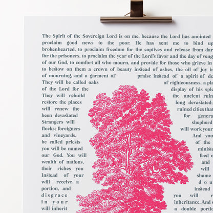 Isaiah 61 poster. Oaks of righteousness.