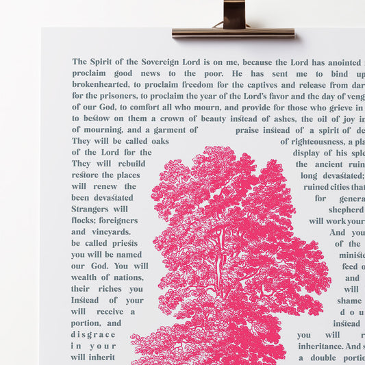 Isaiah 61 poster. Oaks of righteousness.