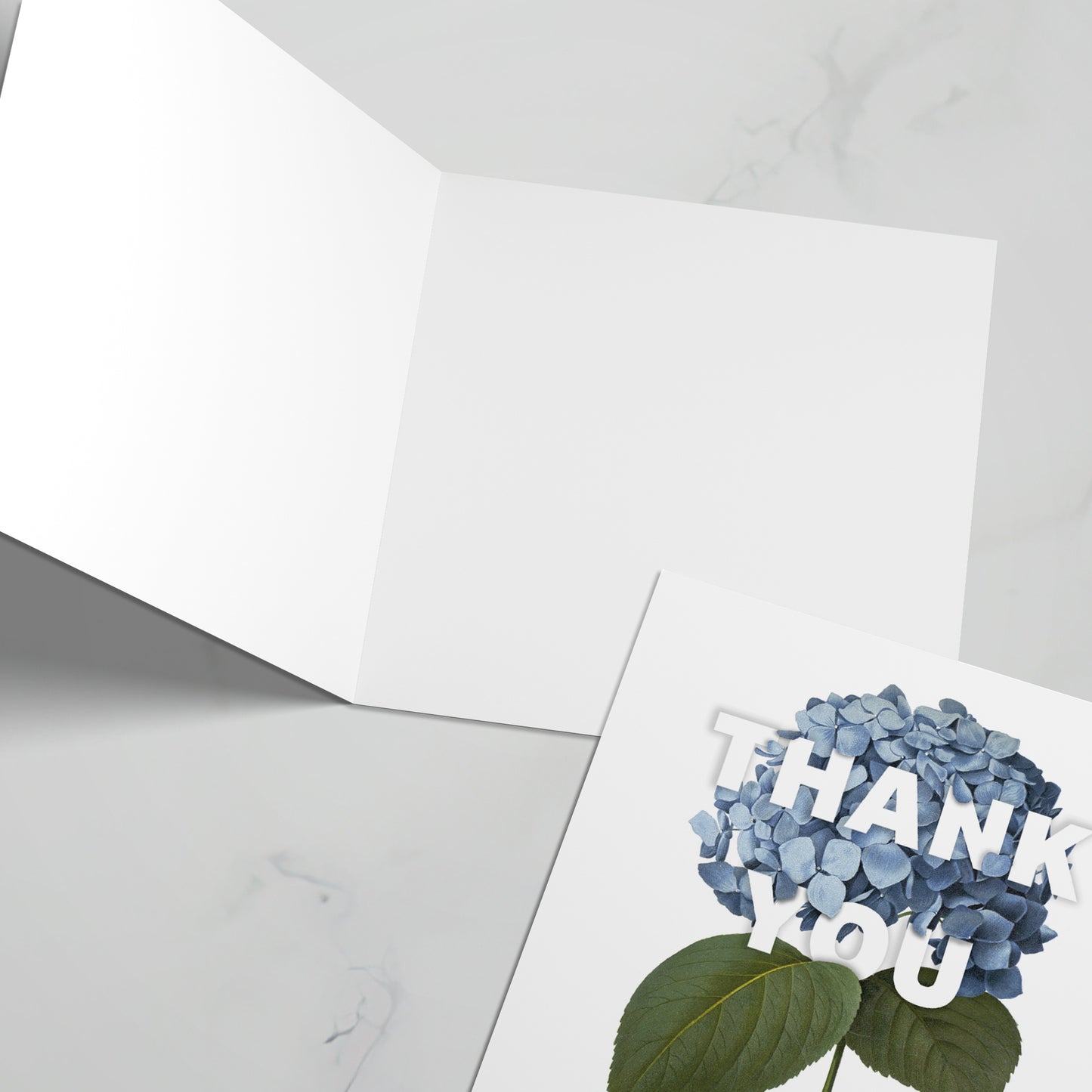 'Thank you' greeting card. Hydrangea illustration. Blank inside.