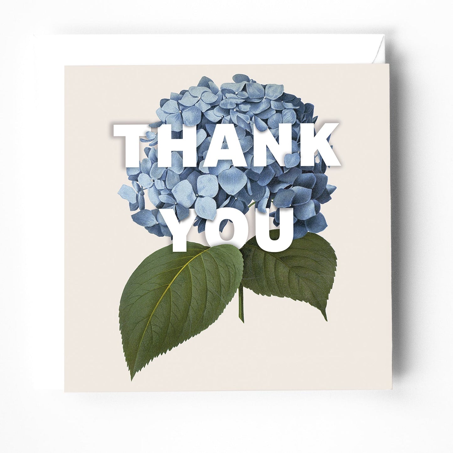 'Thank you' greeting card. Hydrangea illustration. Blank inside. - The Christian Poster Company