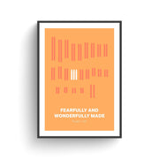 Poster featuring colorful chromosomal variations on an orange background with the text 'Fearfully and Wonderfully Made' and